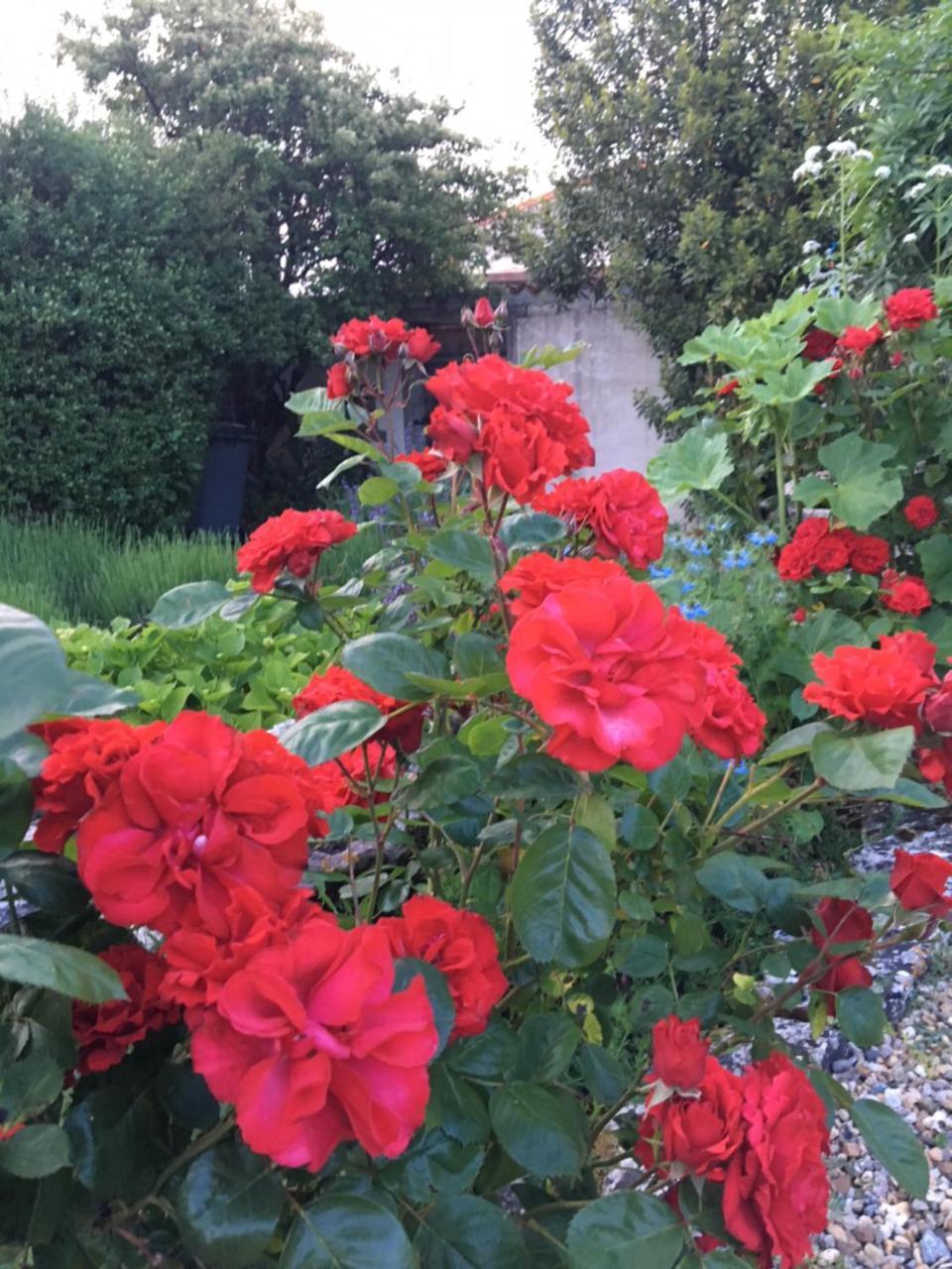 Campagn'Art Bed & Breakfast Les Fosses Dış mekan fotoğraf